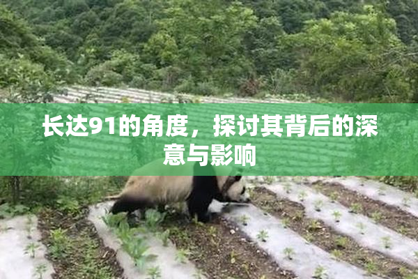 长达91的角度，探讨其背后的深意与影响