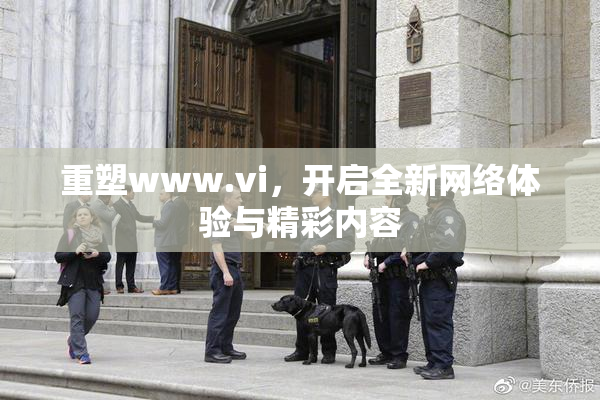 重塑www.vi，开启全新网络体验与精彩内容