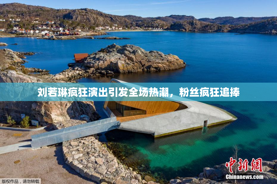 刘若琳疯狂演出引发全场热潮，粉丝疯狂追捧