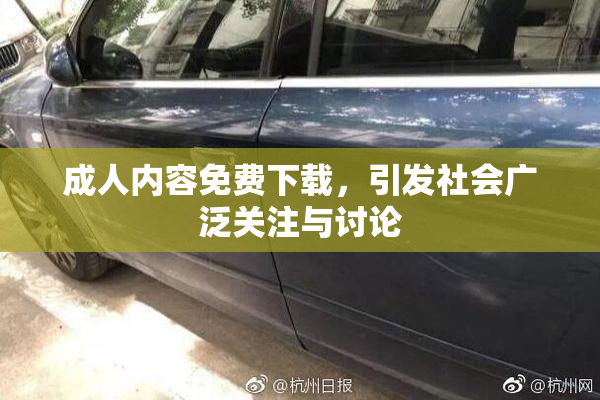 成人内容免费下载，引发社会广泛关注与讨论