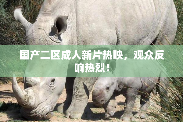 国产二区成人新片热映，观众反响热烈！