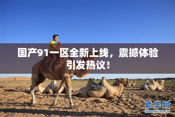 国产91一区全新上线，震撼体验引发热议！
