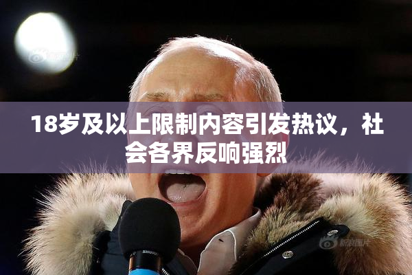 18岁及以上限制内容引发热议，社会各界反响强烈