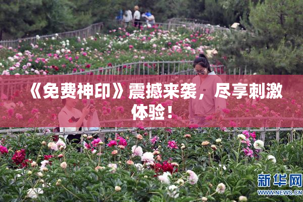 《免费神印》震撼来袭，尽享刺激体验！