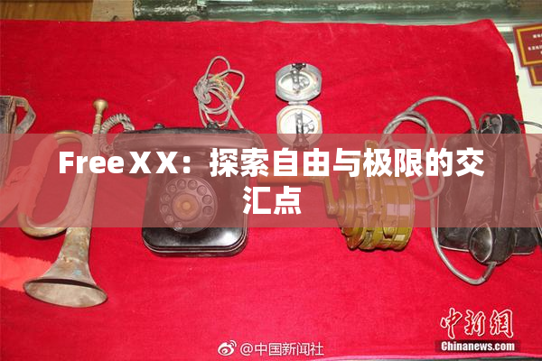 FreeⅩX：探索自由与极限的交汇点