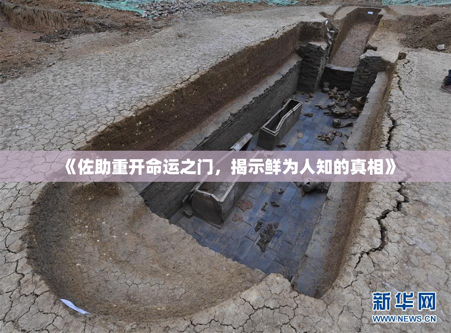 《佐助重开命运之门，揭示鲜为人知的真相》