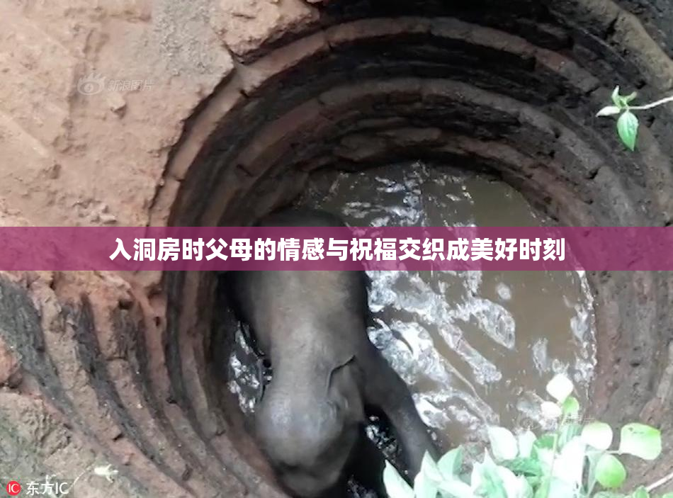 入洞房时父母的情感与祝福交织成美好时刻