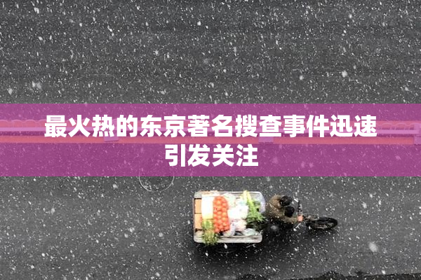 最火热的东京著名搜查事件迅速引发关注