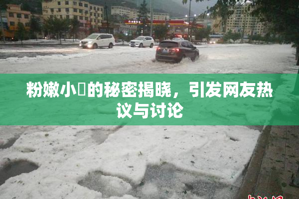 粉嫩小泬的秘密揭晓，引发网友热议与讨论