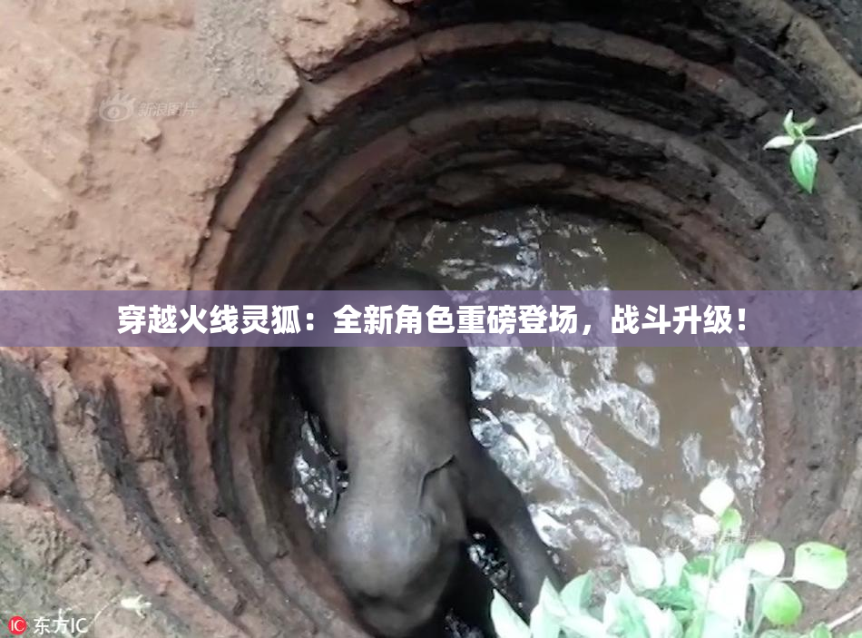穿越火线灵狐：全新角色重磅登场，战斗升级！