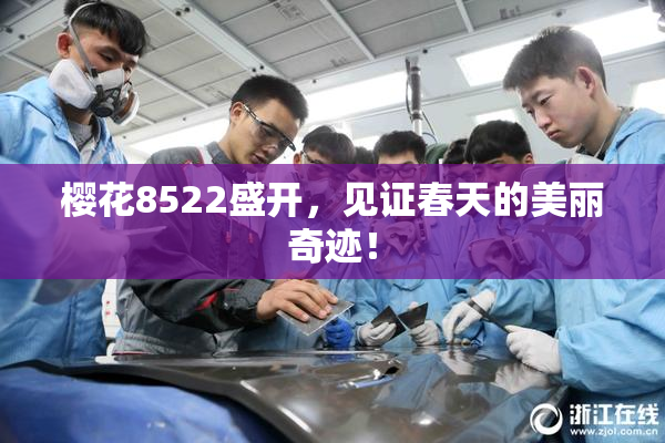 樱花8522盛开，见证春天的美丽奇迹！