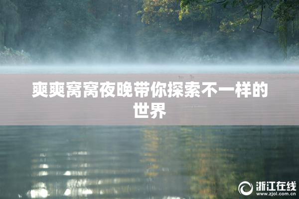 爽爽窝窝夜晚带你探索不一样的世界