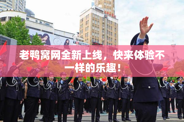 老鸭窝网全新上线，快来体验不一样的乐趣！