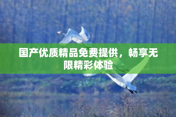 国产优质精品免费提供，畅享无限精彩体验