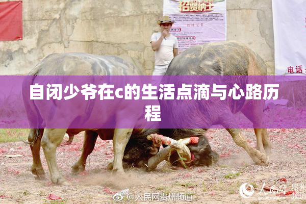 自闭少爷在c的生活点滴与心路历程
