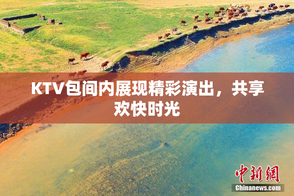 KTV包间内展现精彩演出，共享欢快时光