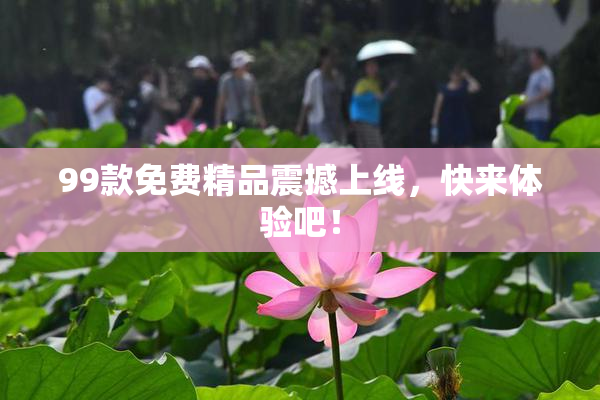 99款免费精品震撼上线，快来体验吧！