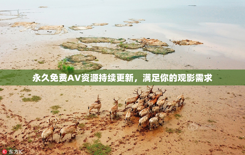 永久免费AV资源持续更新，满足你的观影需求