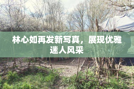 林心如再发新写真，展现优雅迷人风采