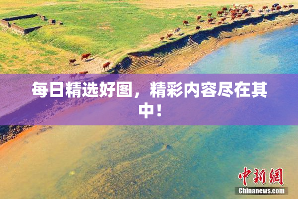 每日精选好图，精彩内容尽在其中！