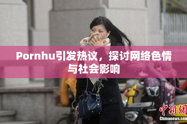 Pornhu引发热议，探讨网络色情与社会影响