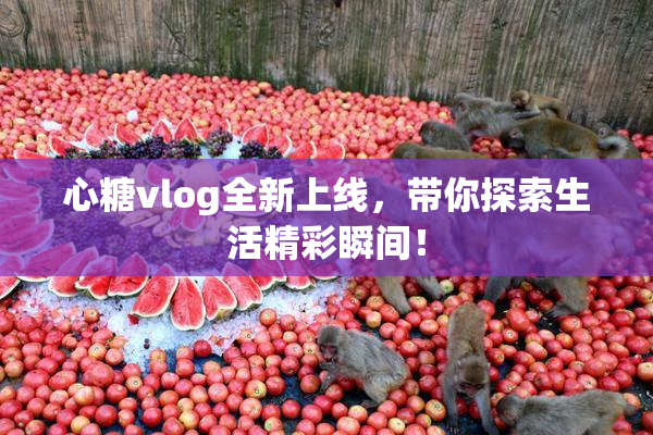 心糖vlog全新上线，带你探索生活精彩瞬间！