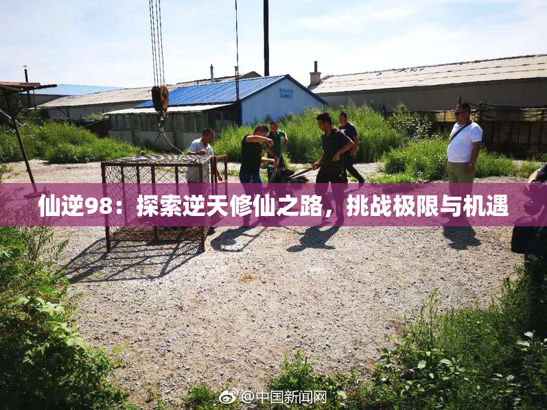仙逆98：探索逆天修仙之路，挑战极限与机遇