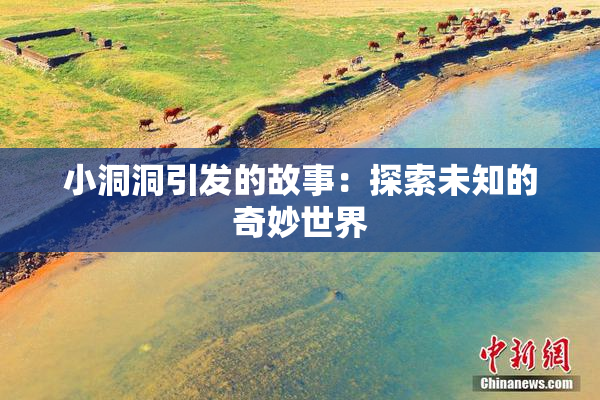 小洞洞引发的故事：探索未知的奇妙世界