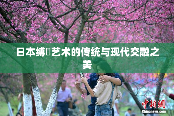 日本缚縄艺术的传统与现代交融之美