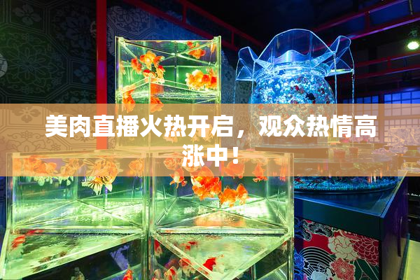 美肉直播火热开启，观众热情高涨中！