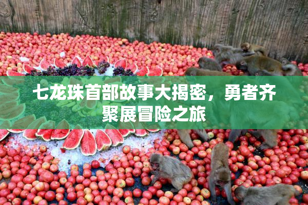 七龙珠首部故事大揭密，勇者齐聚展冒险之旅