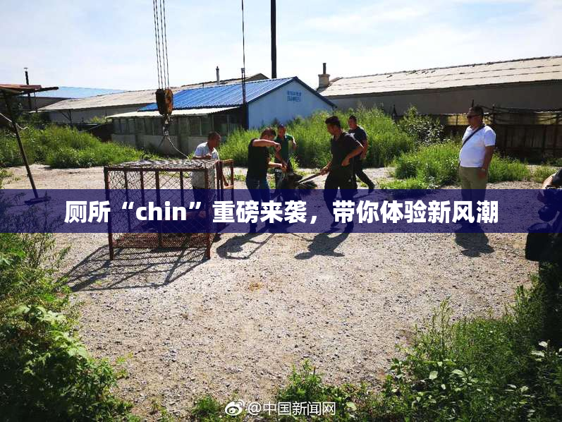 厕所“chin”重磅来袭，带你体验新风潮