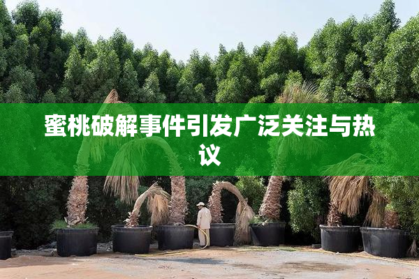 蜜桃破解事件引发广泛关注与热议