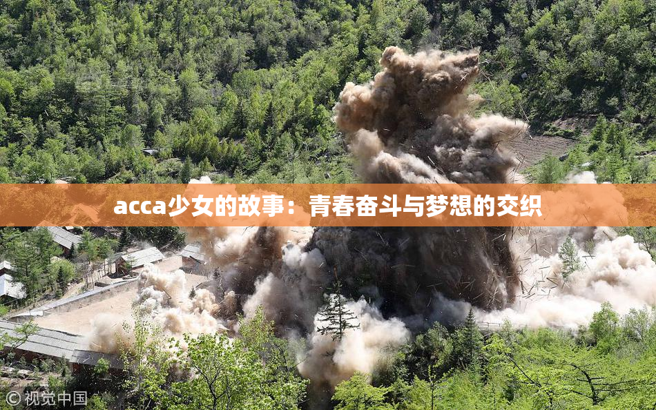 acca少女的故事：青春奋斗与梦想的交织