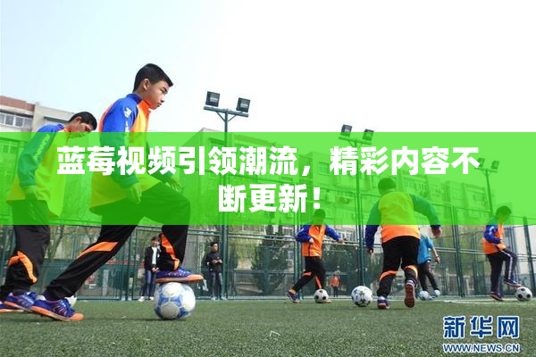 蓝莓视频引领潮流，精彩内容不断更新！