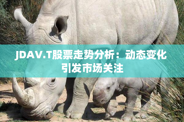 JDAV.T股票走势分析：动态变化引发市场关注