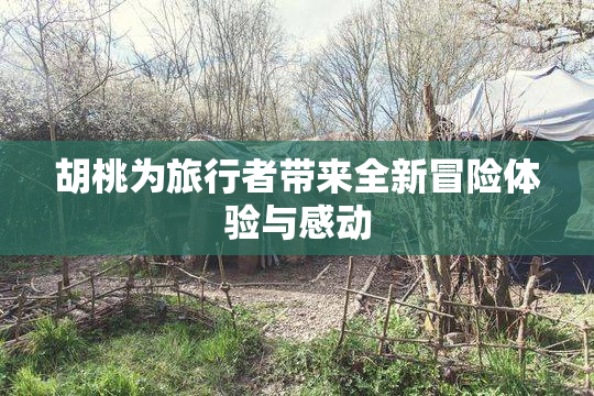 胡桃为旅行者带来全新冒险体验与感动