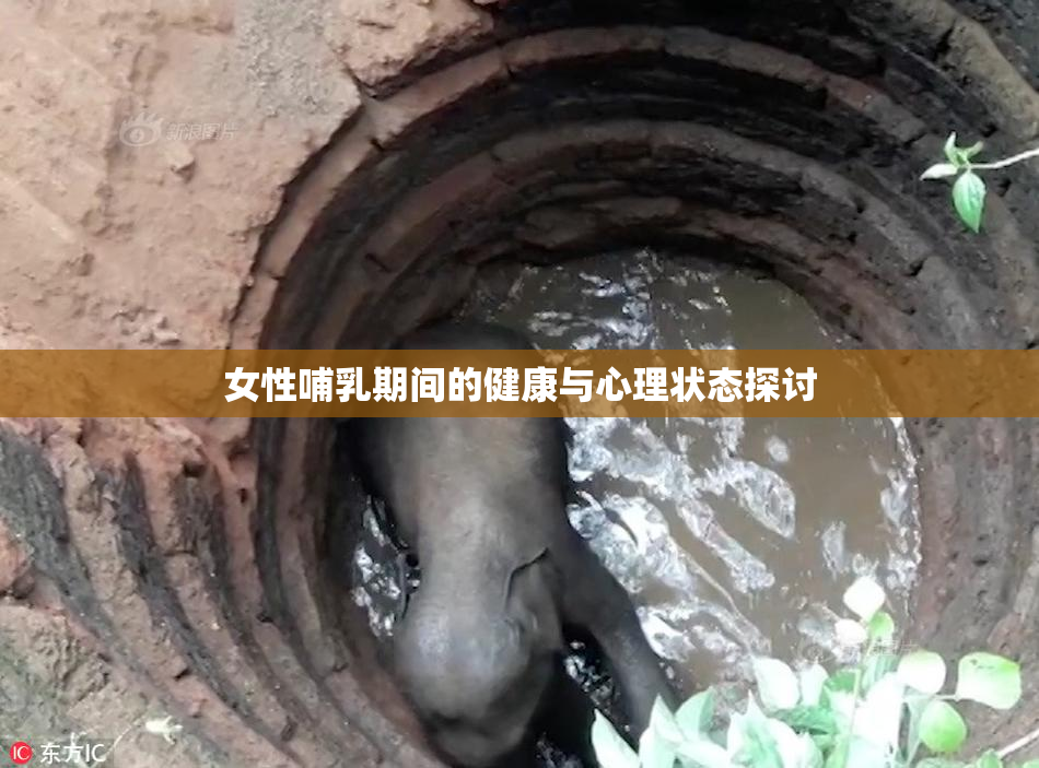 女性哺乳期间的健康与心理状态探讨