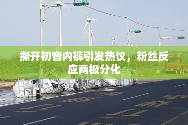 撕开初音内裤引发热议，粉丝反应两极分化