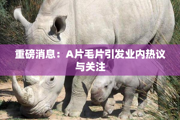 重磅消息：A片毛片引发业内热议与关注