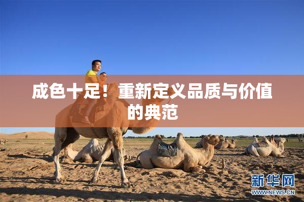 成色十足！重新定义品质与价值的典范