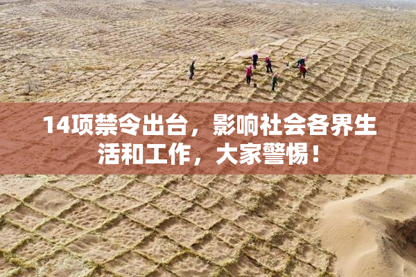 14项禁令出台，影响社会各界生活和工作，大家警惕！