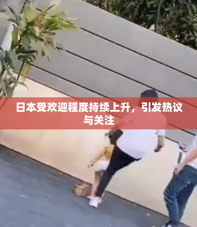 日本受欢迎程度持续上升，引发热议与关注