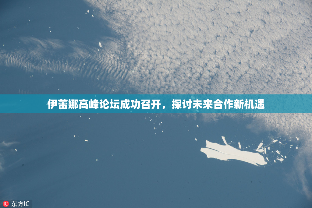 伊蕾娜高峰论坛成功召开，探讨未来合作新机遇