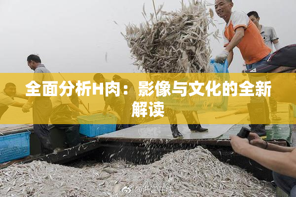 全面分析H肉：影像与文化的全新解读