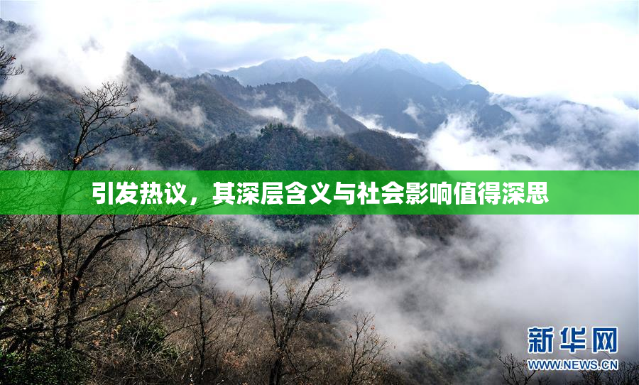 引发热议，其深层含义与社会影响值得深思