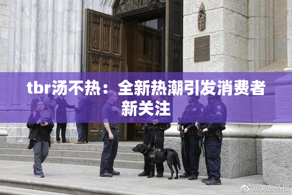 tbr汤不热：全新热潮引发消费者新关注