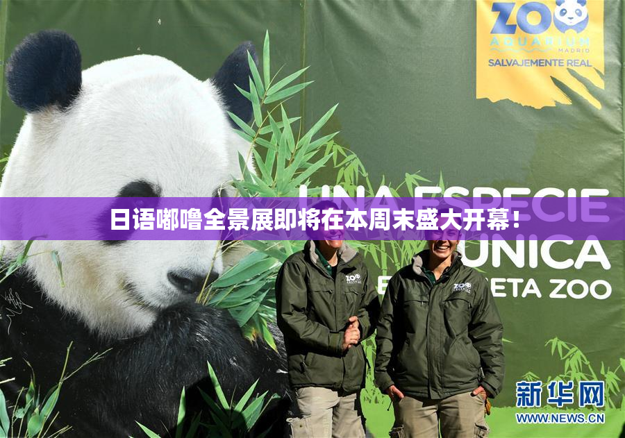 日语嘟噜全景展即将在本周末盛大开幕！