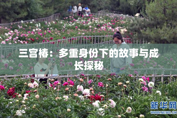 三宫椿：多重身份下的故事与成长探秘