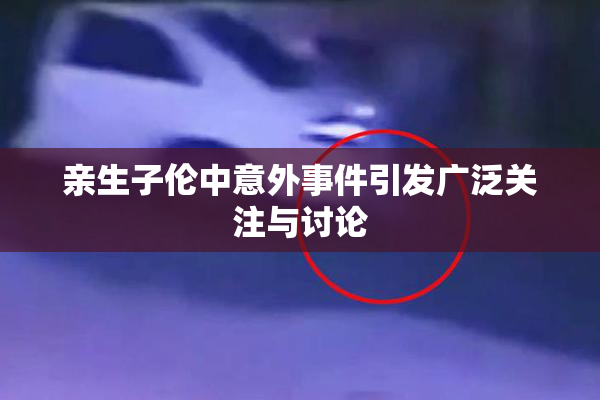 亲生子伦中意外事件引发广泛关注与讨论